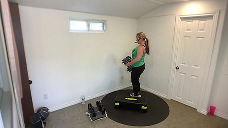 Total Body Weights HIST with Holly